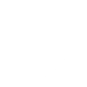 Reignite-Support-iconW